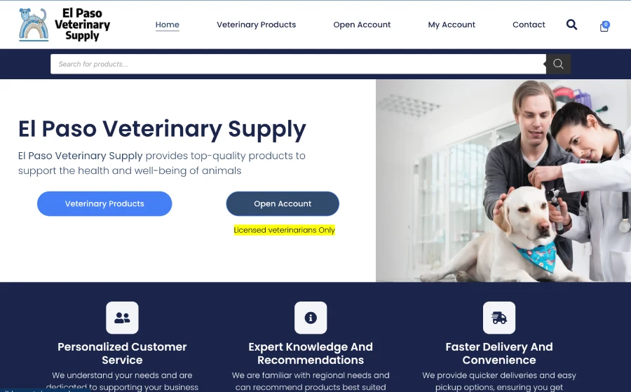 El paso web design, development and marketing agency -