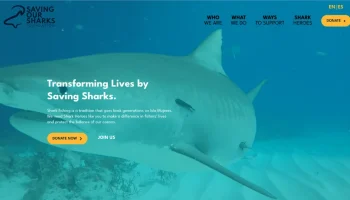 Saving sharks foundation non profit website design
